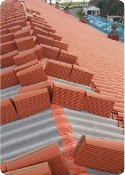 proyecto-individual-5